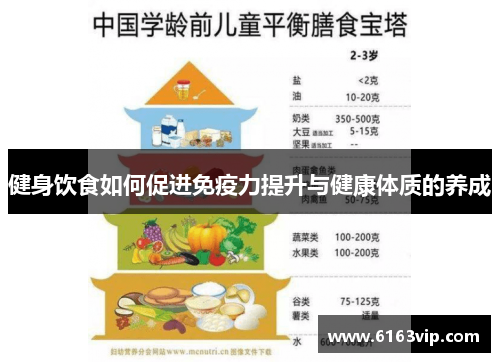 健身饮食如何促进免疫力提升与健康体质的养成