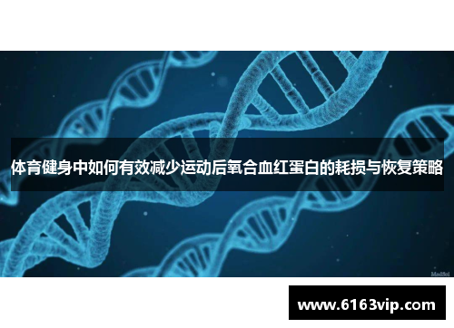 体育健身中如何有效减少运动后氧合血红蛋白的耗损与恢复策略