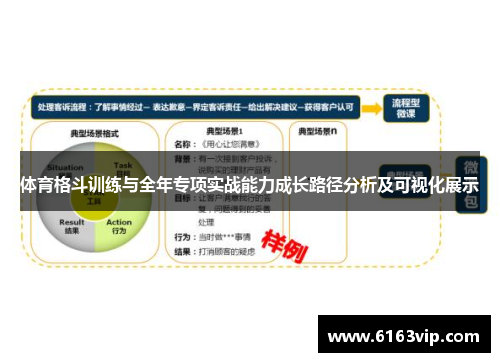 体育格斗训练与全年专项实战能力成长路径分析及可视化展示